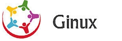 Ginux Consultoria -  Gisele Brugger